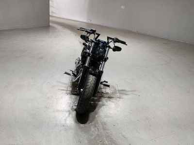 Harley-Davidson Sportster Forty-Eight XL1200X 2019