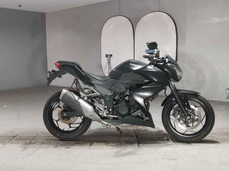 Kawasaki Z250 2013