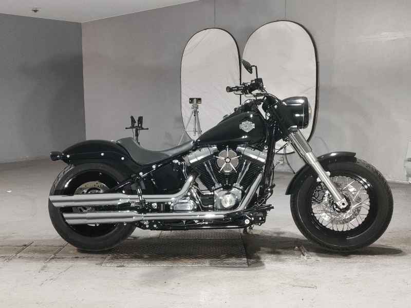 Harley-Davidson Slim FLS1580 2013