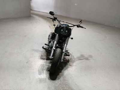 Harley-Davidson Slim FLS1580 2013