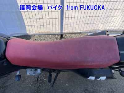 Kawasaki D-Tracker 250 X