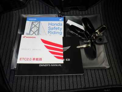 Honda GL1800 Gold Wing Tour DCT 2024