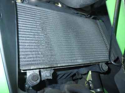 Kawasaki Ninja 250R 2010