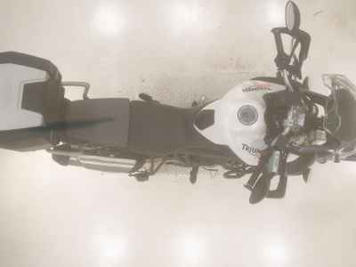 Triumph Tiger 800 2014