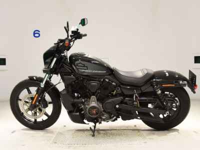Harley-Davidson Nightster RH975 2023