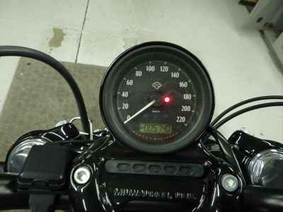 Harley-Davidson Sportster Forty-Eight XL1200X 2021