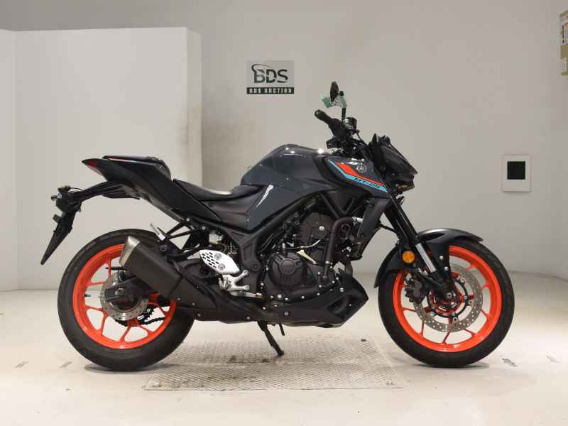 Yamaha MT-25 2021