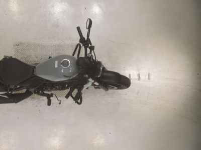 Honda Rebel CMX250 2023