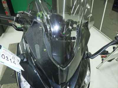 Kawasaki Ninja 1000 2015