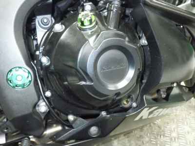 Kawasaki Ninja 1000 2015