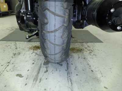 Honda PS250 Big Ruckus 2006