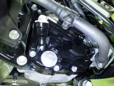 Honda PS250 Big Ruckus 2006