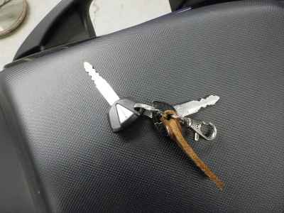 Kawasaki Ninja 1000 2021