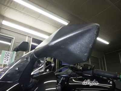 Kawasaki Ninja 1000 2021