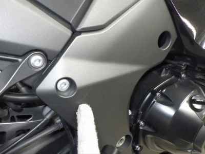 Kawasaki Ninja 1000 2021