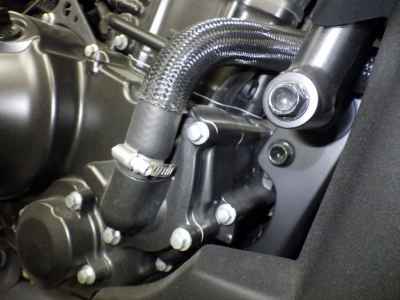 Honda Rebel S CMX250 2022