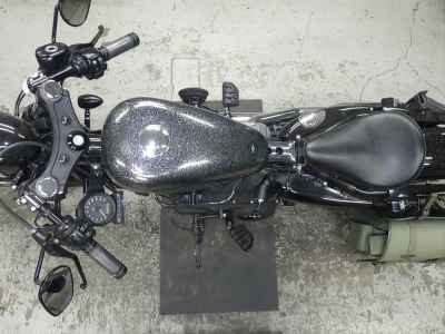 Harley-Davidson Sportster Forty-Eight XL1200X 2014