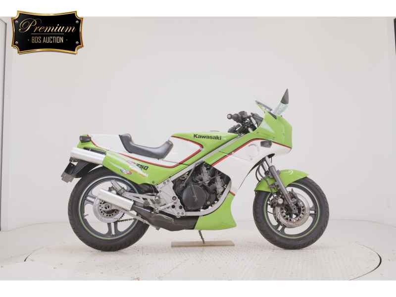 Kawasaki KR250