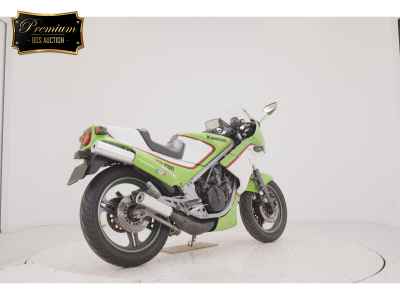 Kawasaki KR250