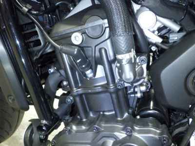 Honda Rebel CMX1100 DCT 2025