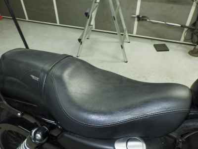 Harley-Davidson Sportster Iron XL883N 2009