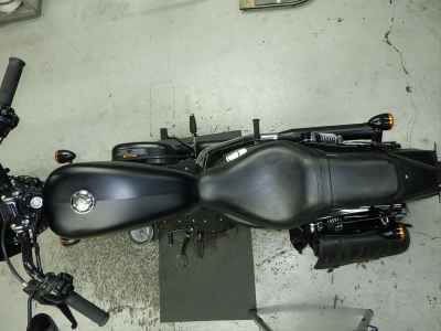 Harley-Davidson Sportster Iron XL883N 2009