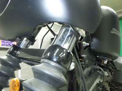 Harley-Davidson Sportster Iron XL883N 2009