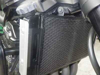 Kawasaki Z900RS 2019