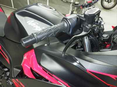 Kawasaki Ninja 250 2018