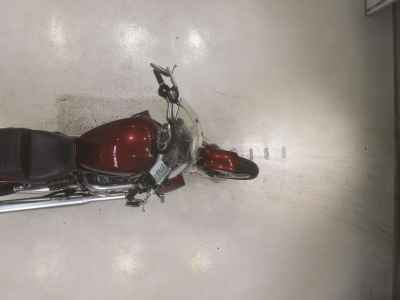 Harley-Davidson V-Rod Muscle VRSCF1250 2009