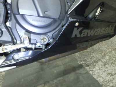 Kawasaki Ninja 250 2020