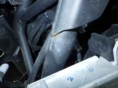 Kawasaki Ninja 250 2020