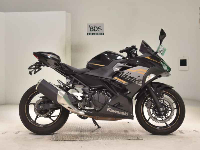 Kawasaki Ninja 250 2020