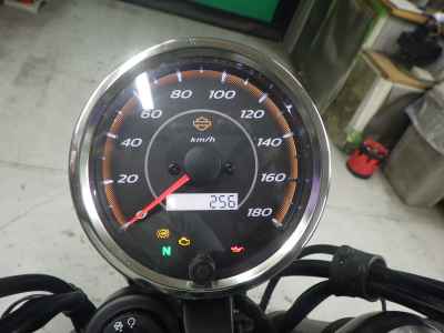 Harley-Davidson X500 2024