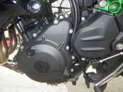 Kawasaki Z250 2024