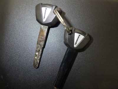 Kawasaki Ninja 7 Hybrid 2025