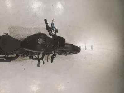 Honda Rebel S CMX250 2023