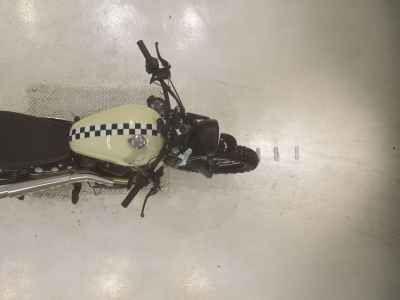 Triumph Street Scrambler 2019