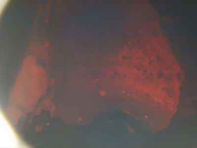 Harley-Davidson Heritage FLSTC1580 2008