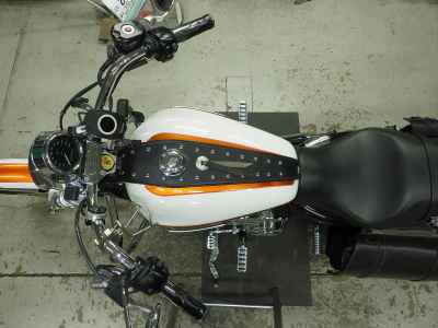 Harley-Davidson Sportster XL1200L 2011