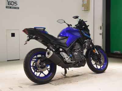 Yamaha MT-25 2025
