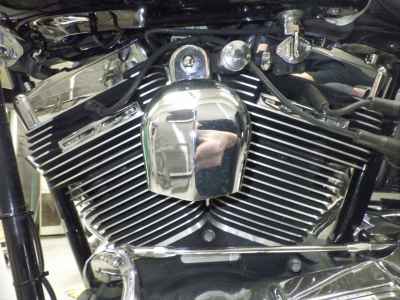 Harley-Davidson Deluxe FLSTN1450 2005