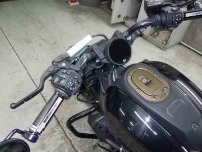 Harley-Davidson Sportster S RH1250S 2022