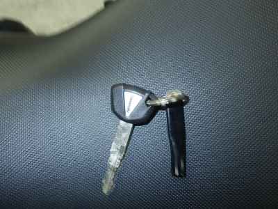 Kawasaki Ninja 1000SX 2020