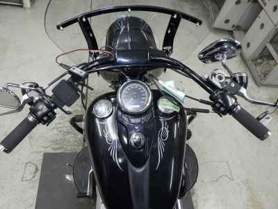 Harley-Davidson Slim FLS1580 2013