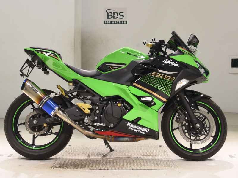 Kawasaki Ninja 250 2020