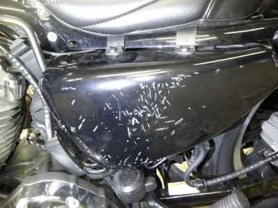 Harley-Davidson Sportster XL1200L 2010