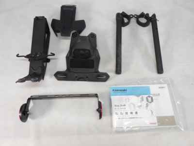 Kawasaki Ninja ZX-4RR 2024