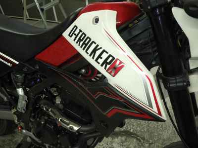 Kawasaki D-Tracker 250 X 2011