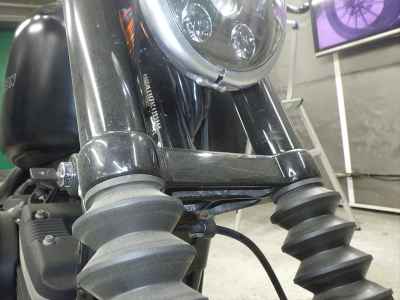 Harley-Davidson Sportster Iron XL883N 2010